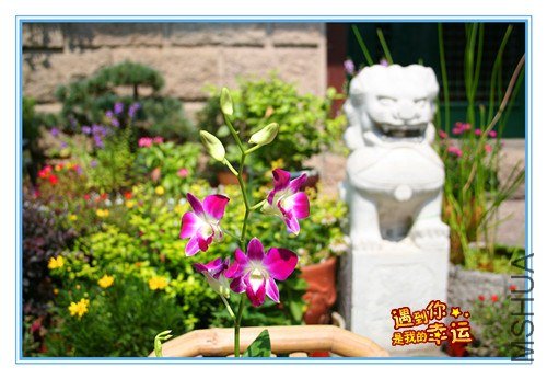 ��Ƭ 146_����.jpg