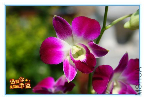 ��Ƭ 147_����.jpg