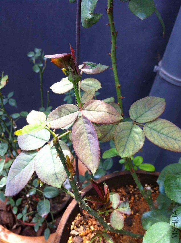 15������¼�