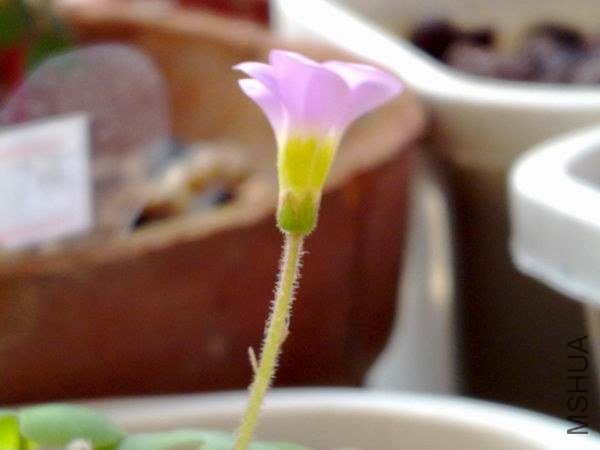 ����һ��