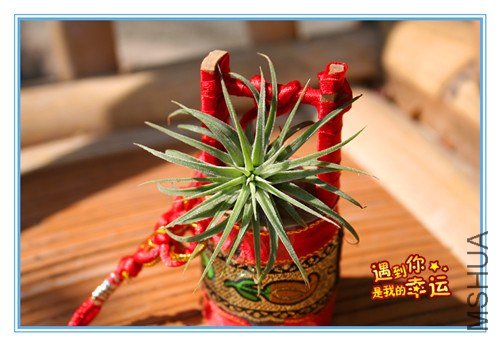 ��Ƭ 225_����.jpg