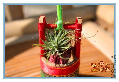 ��Ƭ 227_����.jpg