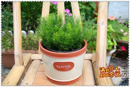 ��Ƭ 152_����.jpg