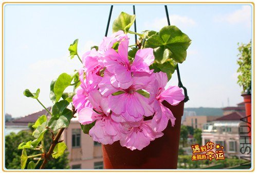 ��Ƭ 094_����.jpg