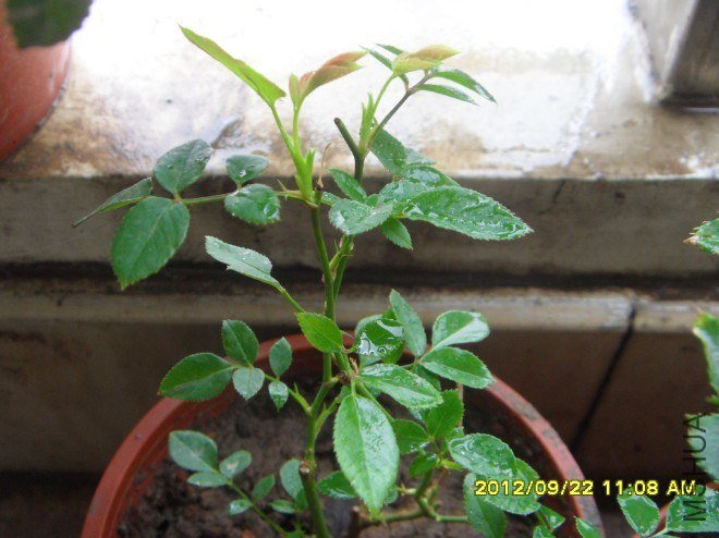 QQ��ͼ20120922183208.jpg