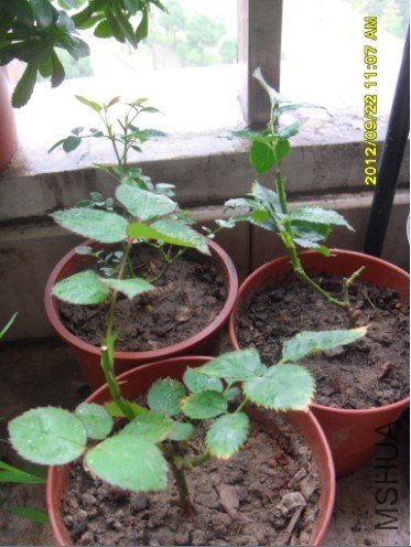 QQ��ͼ20120922183217.jpg