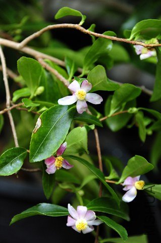 _DSC5923_edited-1.jpg