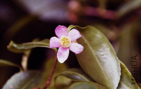 _DSC5922_edited-1.jpg
