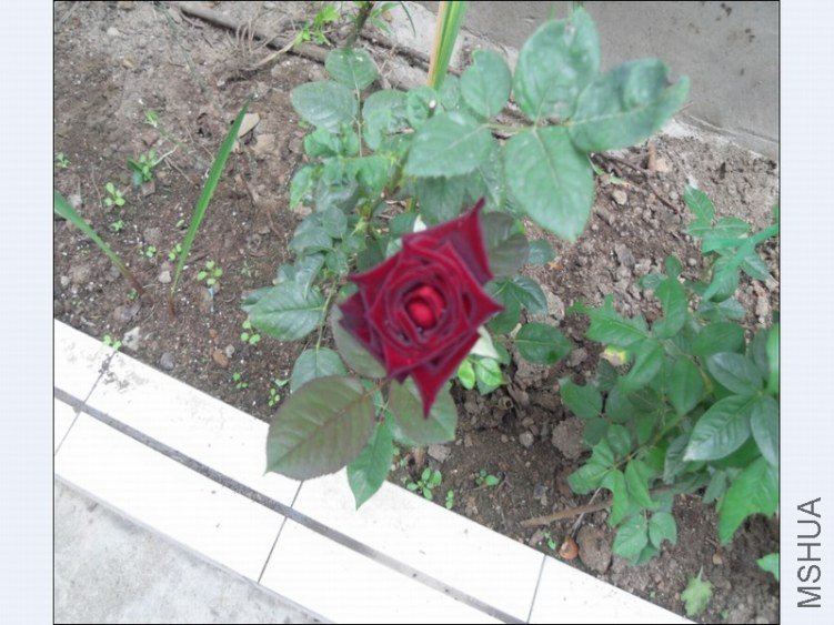 360�����ͼ20120921163541.jpg