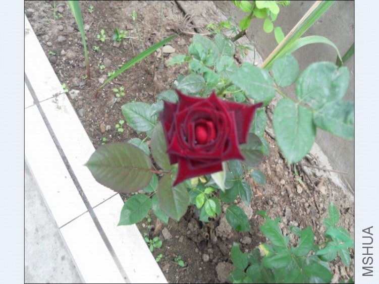 360�����ͼ20120921163551.jpg