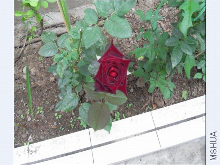 360�����ͼ20120921163626.jpg