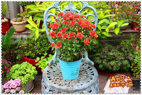 ��Ƭ 013_����.jpg