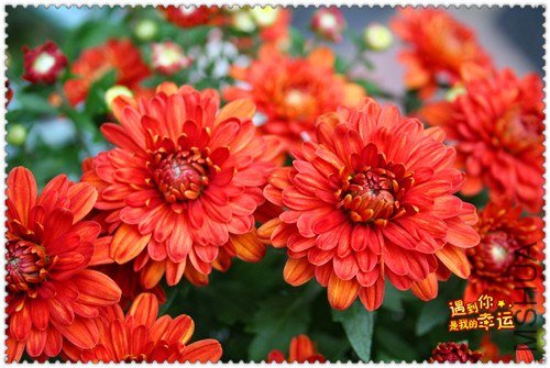 ��Ƭ 015_����.jpg