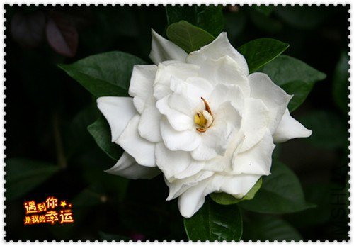 ��Ƭ 044_����.jpg