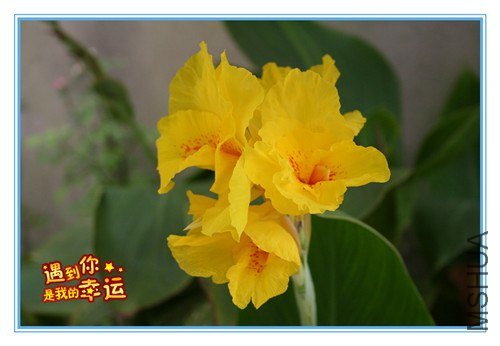 ��Ƭ 059_����.jpg