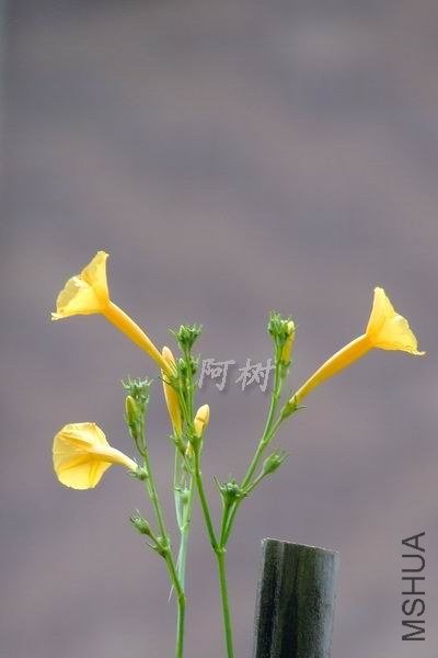 ��ţ 2012-0920(028).jpg