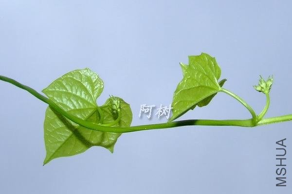 ��ţ 2012-0916(031).jpg