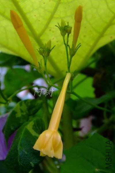 ��ţ 2012-0916(032).jpg