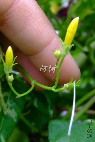 ��ţ 2012-0916(034).jpg