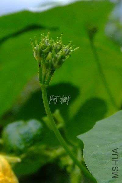 ��ţ 2012-0916(037).jpg