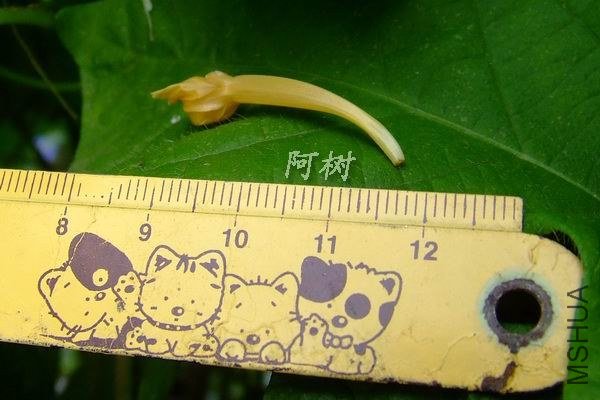 ��ţ 2012-0916(038).jpg