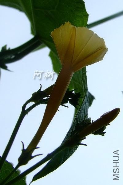 ��ţ 2012-0916(040).jpg