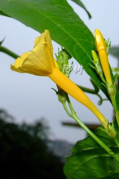 ��ţ 2012-0916(042).jpg