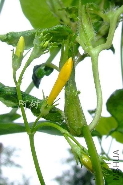 ��ţ 2012-0916(044).jpg