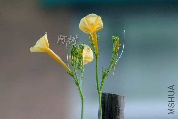 ��ţ 2012-0917(038).jpg