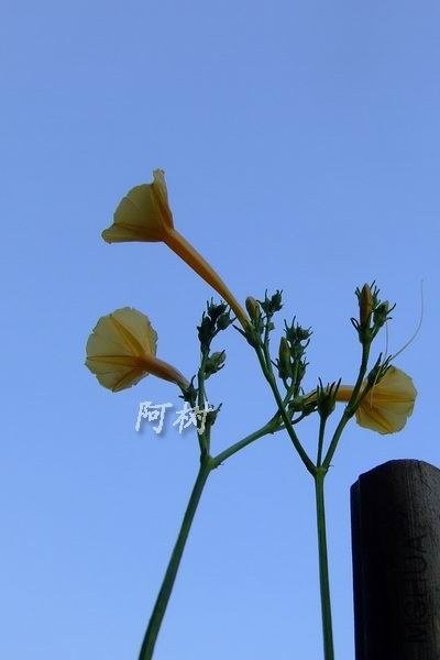 ��ţ 2012-0917(040).jpg