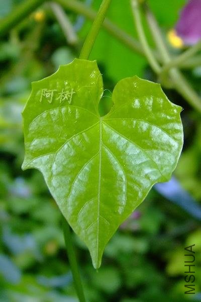 ��ţ 2012-0917(043).jpg