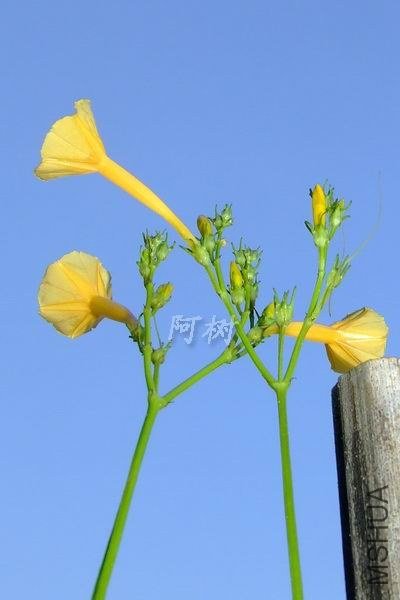 ��ţ 2012-0917(047).jpg