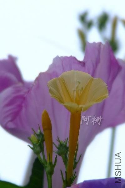 ��ţ 2012-0919(023).jpg