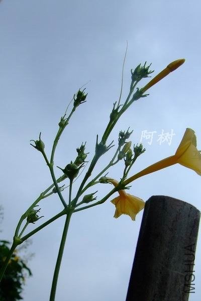 С��ţ 2012-0922(002).jpg