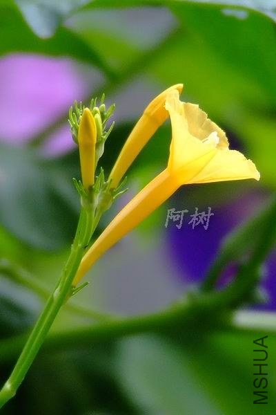 С��ţ 2012-0922(008).jpg