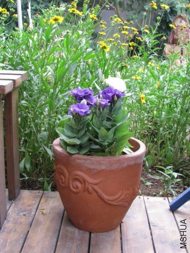 2011[1].6.9. 059_conew1.jpg