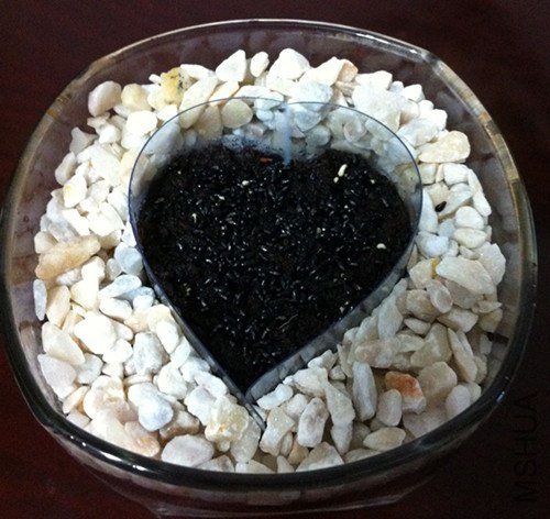 ��Ƭ 246_����.jpg