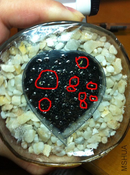 ��Ƭ 250_����.jpg