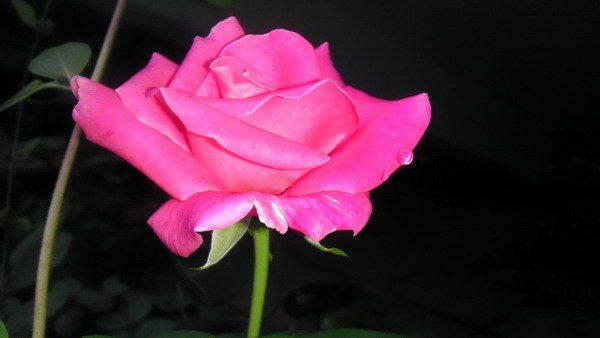 IMAG0079xx.jpg