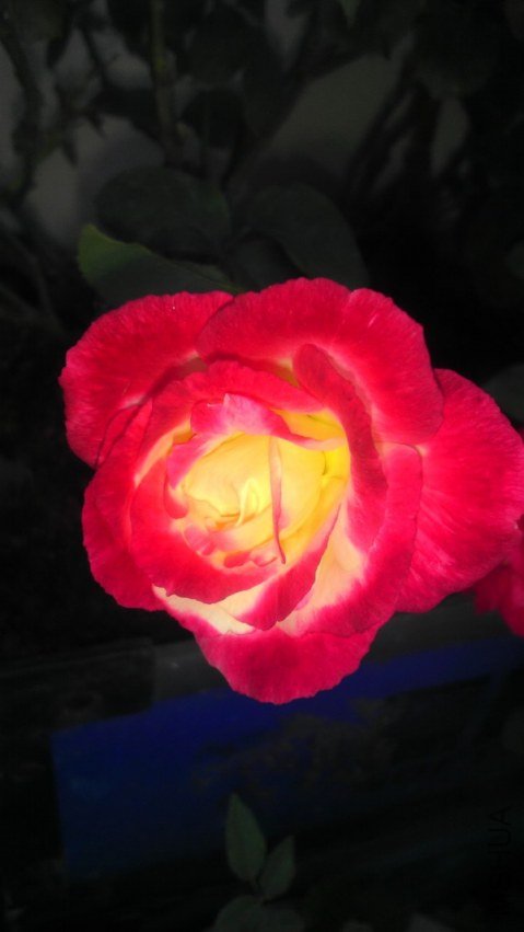 IMAG0339.jpg