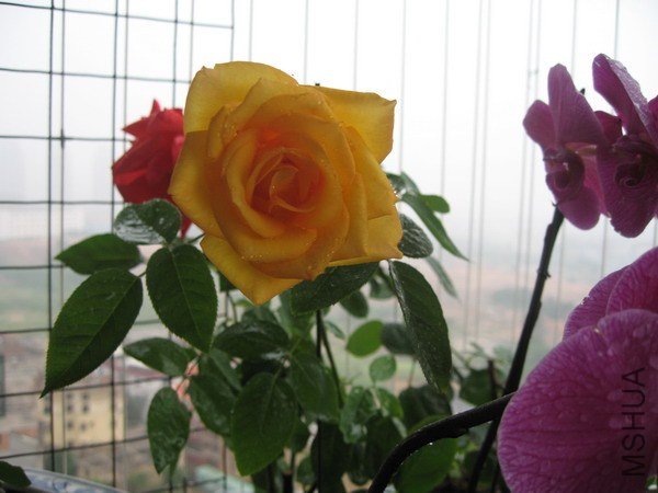 IMG_5748xxxxx.jpg