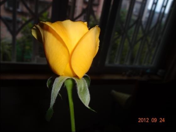 QQ��ͼ20120924105019.JPG