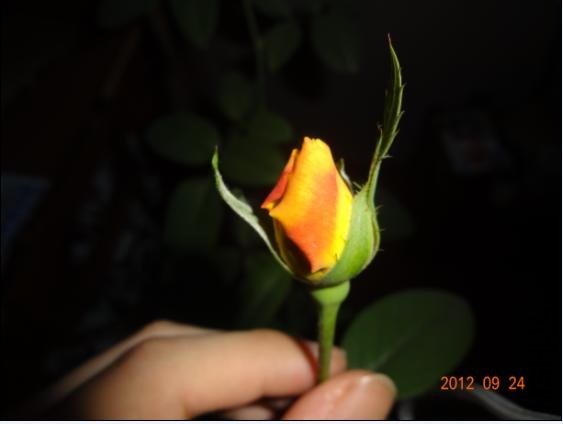 QQ��ͼ20120924105056.JPG
