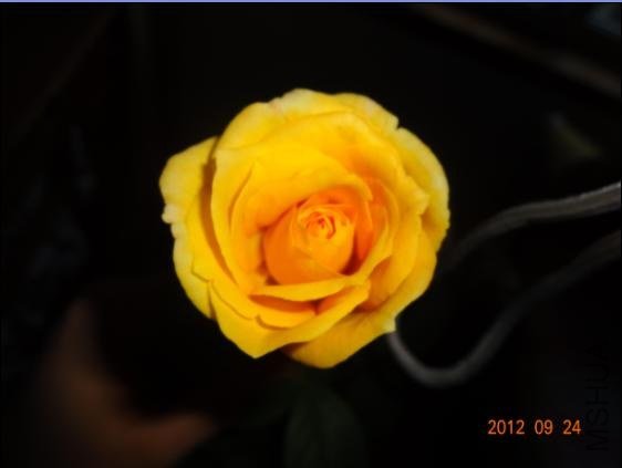 QQ��ͼ20120924105002.JPG