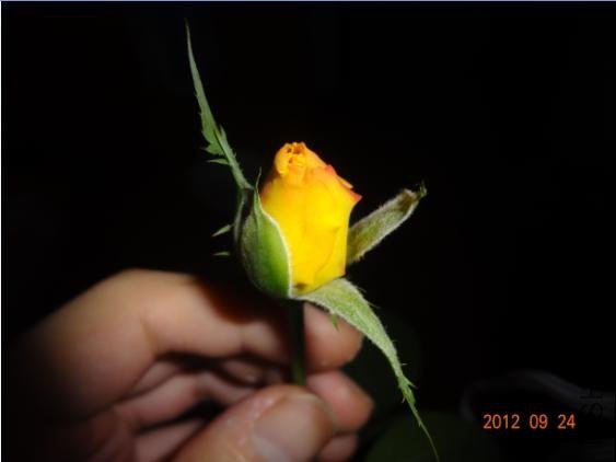QQ��ͼ20120924105046.JPG