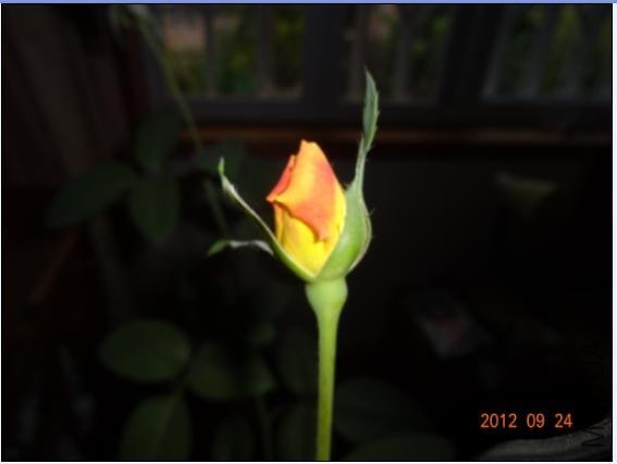 QQ��ͼ20120924105129.JPG
