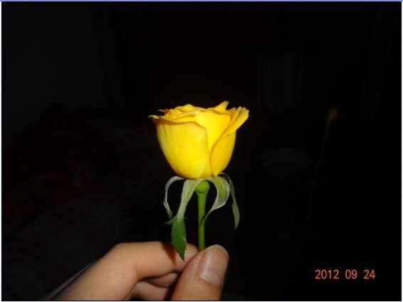 QQ��ͼ20120924105112.JPG