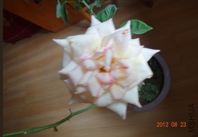 QQ��ͼ20120924113441.JPG