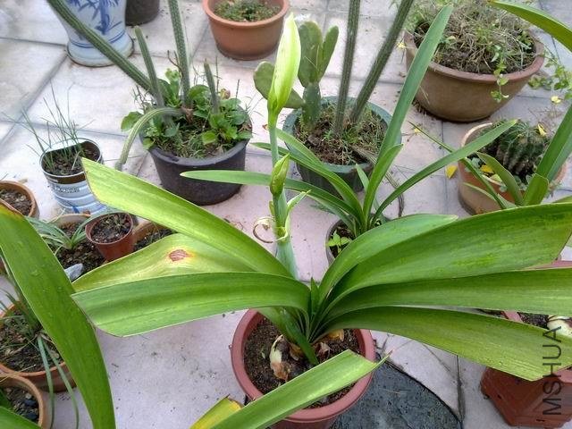 ������С 201209243816.jpg