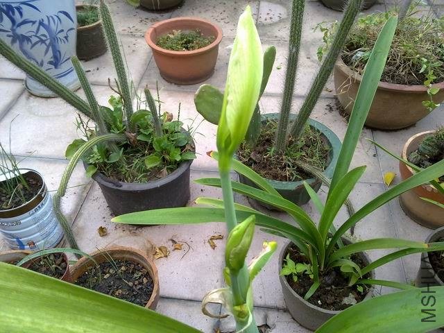 ������С 201209243817.jpg